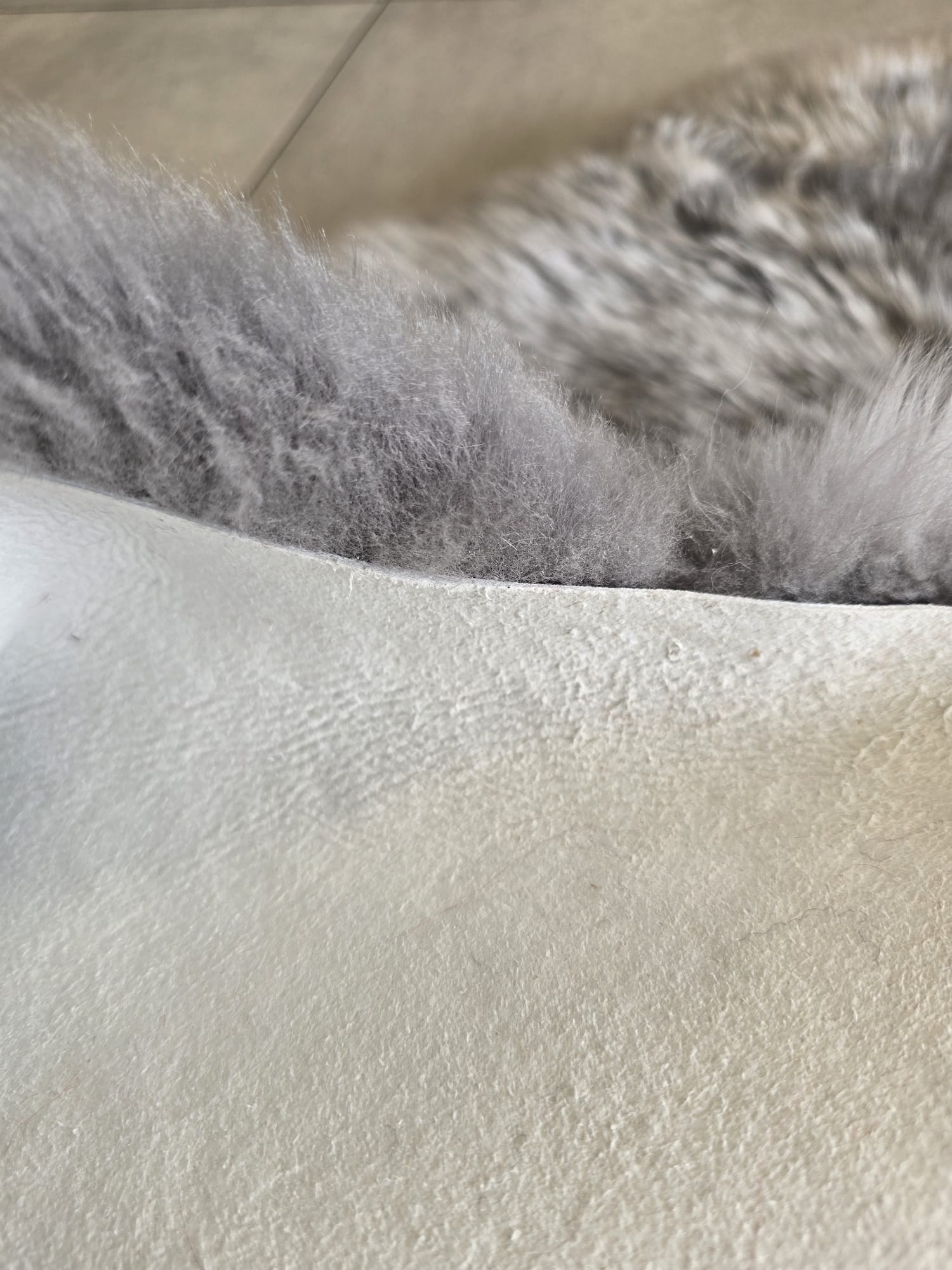 Siva janjeća koža 65x104 cm od prave australske merino vune