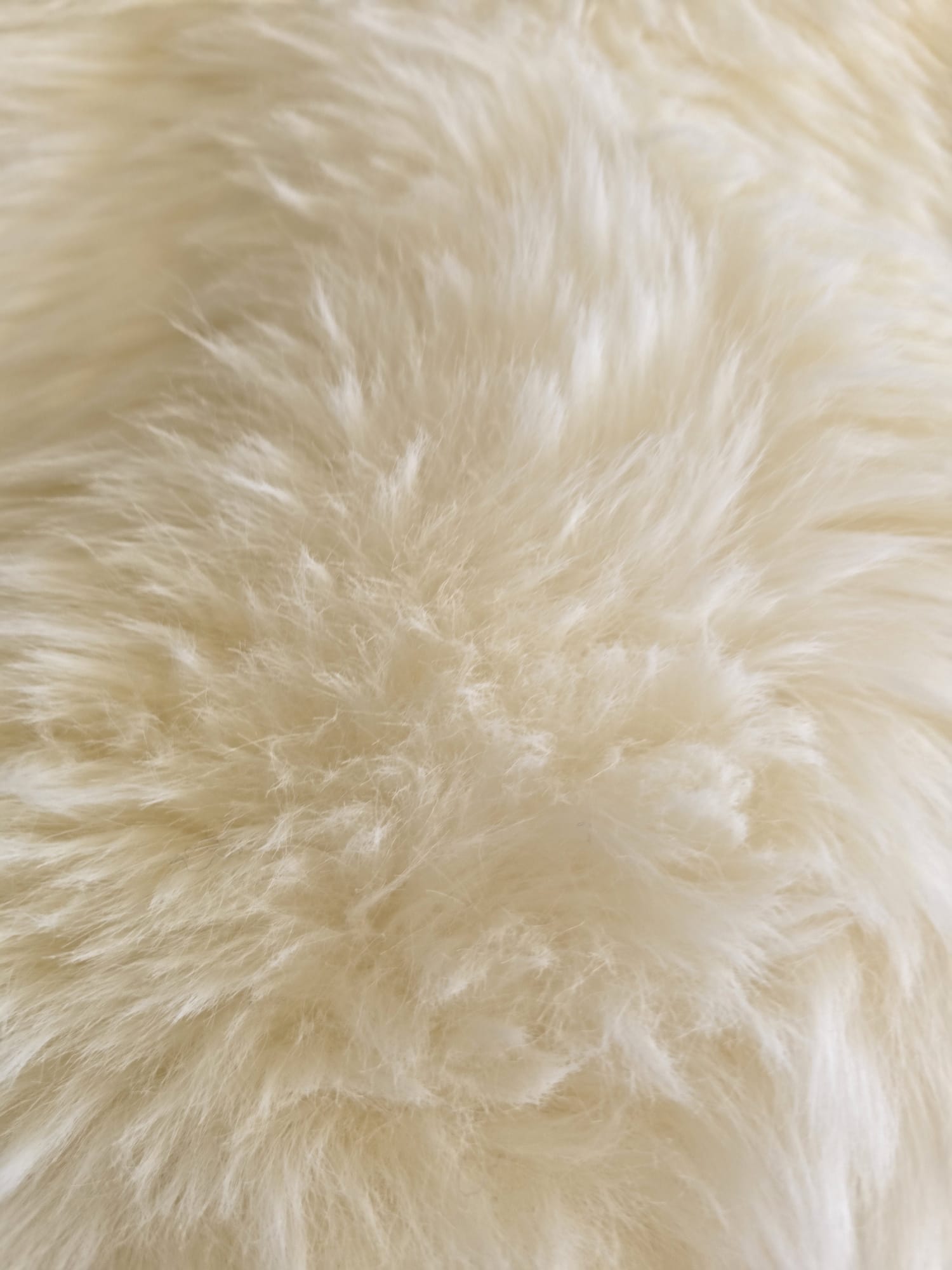 Janjeća koža Bijela 65x104 cm od prave australske merino vune