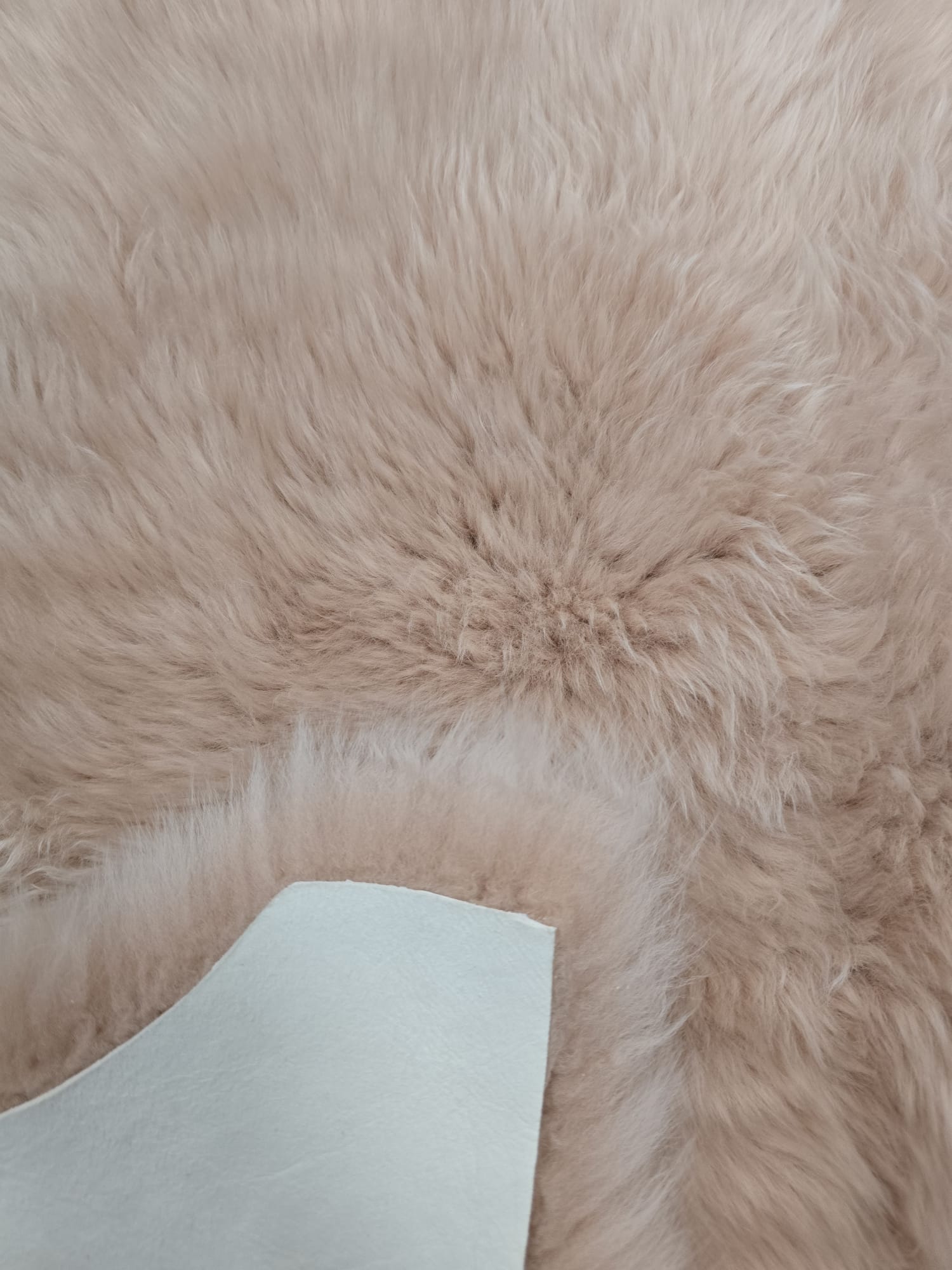 Janjeća koža Roza 65x104 cm od prave australske merino vune