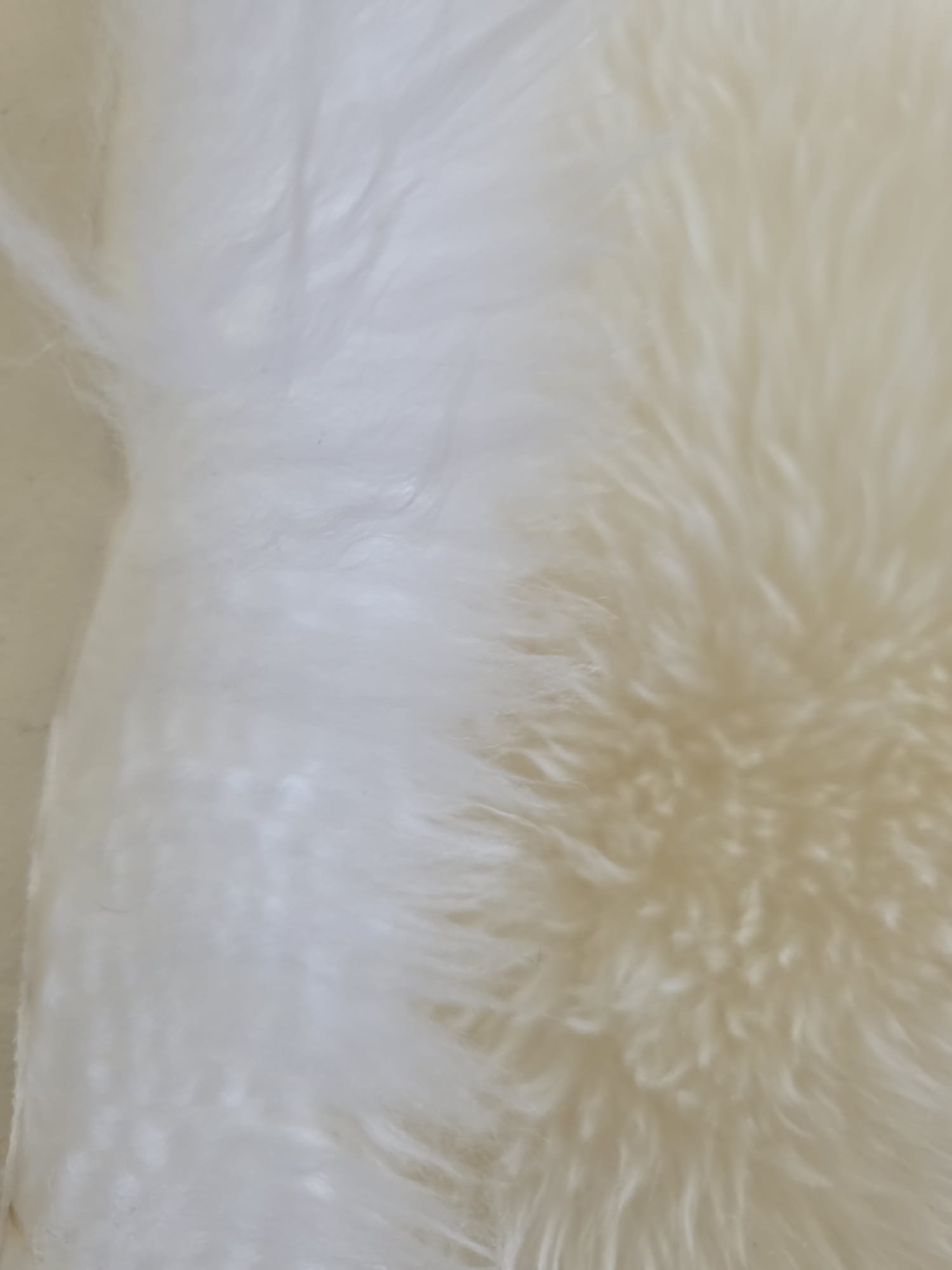 Dupla janjeća koža Bijela 65x180 cm od prave australske merino vune